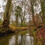 Dunsany Nature Reserve - Flagship Project 31