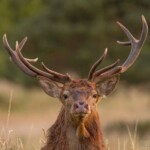 Dunsany Nature Reserve - Flagship Project 57