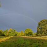 Dunsany Nature Reserve Bionua, Biodiversity Credit, certificate, climate action, rewilded area, aerial view, infographic, climate education, field survey, wildlife, global impact, community, rare plant, conservation area, endangered species, action strategy, slide, reforestation, sapling, CO2 reduction, graph, partner certificate, mitigation brochure, initiative launch, rewilding, biodiversity