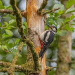 Dunsany Nature Reserve Bionua, Biodiversity Credit, certificate, climate action, rewilded area, aerial view, infographic, climate education, field survey, wildlife, global impact, community, rare plant, conservation area, endangered species, action strategy, slide, reforestation, sapling, CO2 reduction, graph, partner certificate, mitigation brochure, initiative launch, rewilding, biodiversity