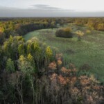 Dunsany Nature Reserve Bionua, Biodiversity Credit, certificate, climate action, rewilded area, aerial view, infographic, climate education, field survey, wildlife, global impact, community, rare plant, conservation area, endangered species, action strategy, slide, reforestation, sapling, CO2 reduction, graph, partner certificate, mitigation brochure, initiative launch, rewilding, biodiversity