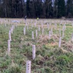 Dunsany Nature Reserve - Flagship Project 42