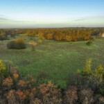 Dunsany Nature Reserve Bionua, Biodiversity Credit, certificate, climate action, rewilded area, aerial view, infographic, climate education, field survey, wildlife, global impact, community, rare plant, conservation area, endangered species, action strategy, slide, reforestation, sapling, CO2 reduction, graph, partner certificate, mitigation brochure, initiative launch, rewilding, biodiversity