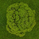 Bionua, Biodiversity Credit, certificate, climate action, rewilded area, aerial view, infographic, climate education, field survey, wildlife, global impact, community, rare plant, conservation area, endangered species, action strategy, slide, reforestation, sapling, CO2 reduction, graph, partner certificate, mitigation brochure, initiative launch, rewilding, biodiversity Bionua, Biodiversity Credit, certificate, climate action, rewilded area, aerial view, infographic, climate education, field survey, wildlife, global impact, community, rare plant, conservation area, endangered species, action strategy, slide, reforestation, sapling, CO2 reduction, graph, partner certificate, mitigation brochure, initiative launch, rewilding, biodiversity