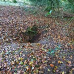 Ballyvonare Biodiversity Haven