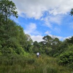 Ballyvonare Biodiversity Haven