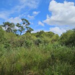 Ballyvonare Biodiversity Haven