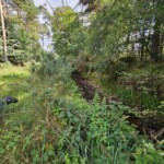 Ballyvonare Biodiversity Haven