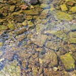 Ballyvonare Biodiversity Haven 2