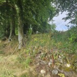 Ballyvonare Biodiversity Haven